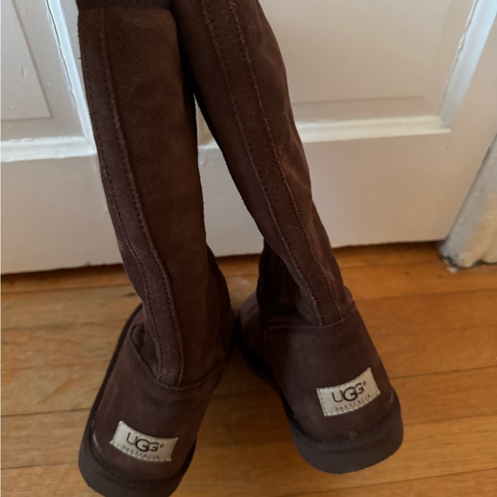 UGG Brown Tall Zip Up Boots